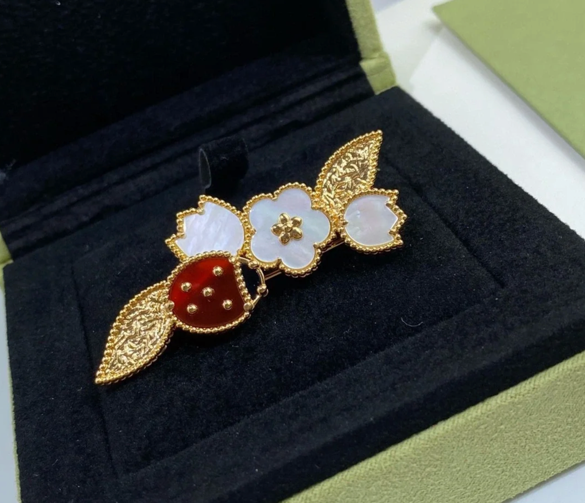 [Dream] LUCKY SPRING Ladybug Brooch